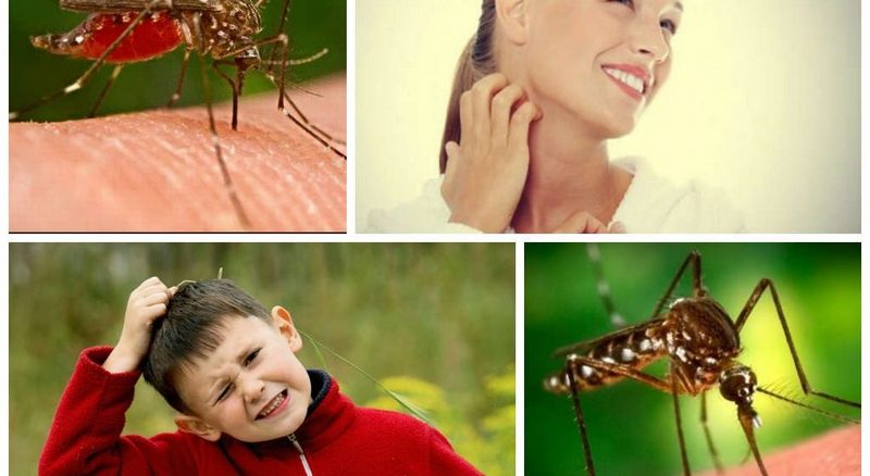 Защитные меры против укусов комаров