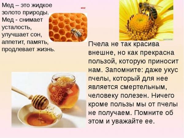 Польза от меда