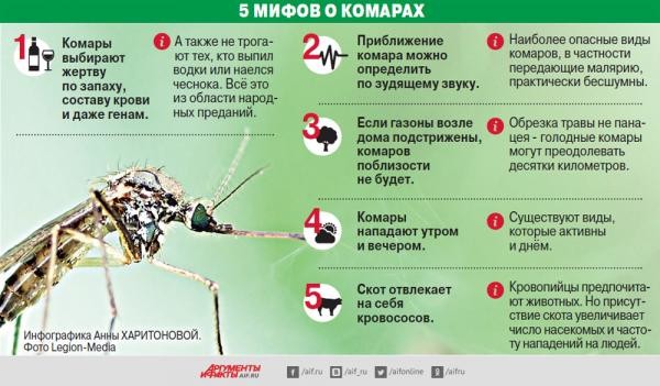 Мифы о комарах
