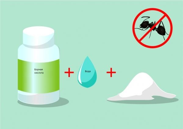 Раствором борной кислоты, воды и сахар можно уничтожит матку муравьев