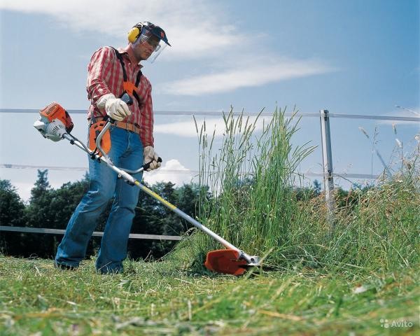 Чтобы максимально обезопасить себя от клещей на участке, на территории нужно вовремя подстригать высокую траву